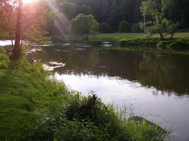 Sázava 12 P-Smrčná 25.5.08 (4).jpg